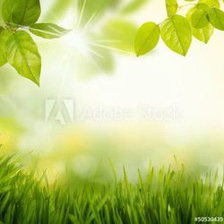 landschaft
