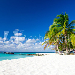 tropical beach