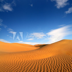 evening desert landscape