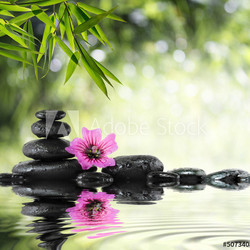 black stone and hibiscus with bamboo on the water