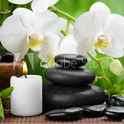 spa concept