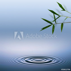 Bamboo. Abstract environmental backgrounds