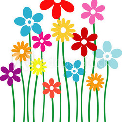 Blumenwiese
