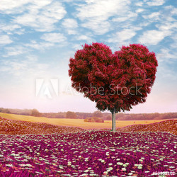 Heart shaped Tree red foliage, valentines day