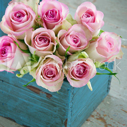Roses in an old blue wooden gardening basket