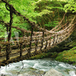 Pont de lianes et bambou Kazura-bashi à Oku Iya, Shikoku
