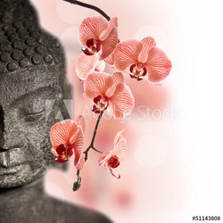 Bouddha et orchidée rouge
