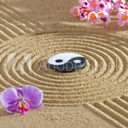 Japan ZEN Garten