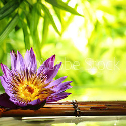 Spa still life with lotus float on water