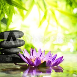 Spa still life with lotus and zen stone on water