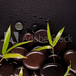 Spa stones with bamboo sprouts