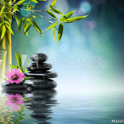 tower black stone and hibiscus with bamboo on the water