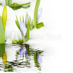 Warten auf den Frühling, Tauwetter