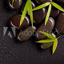 Spa stones with bamboo sprouts with dew drops