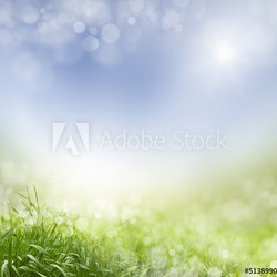 spring background