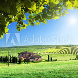 Tuscany landscape with typical farm house