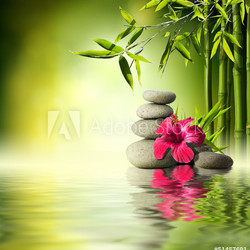 Stones, red hibiscus and Bamboo on the water