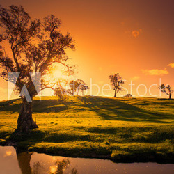Sunset Creek