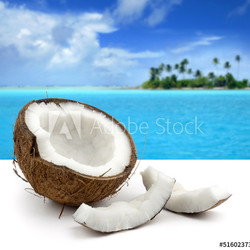 dreaming paradise