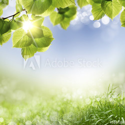 spring background