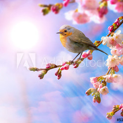 abstract Spring border background with pink blossom