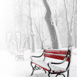 Wald mit Bank im Winter