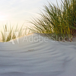 Düne im Abendlicht