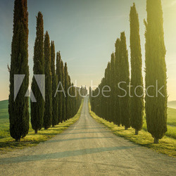 Tuscany, Landscape. Italy