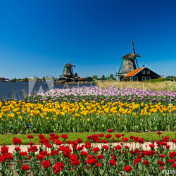 windmill in holland