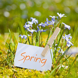 Spring