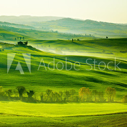 Countryside, San Quirico´Orcia , Tuscany, Italy