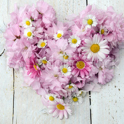 Romantisches Herz aus Margeriten, Gänseblümchen und Kirschblüten