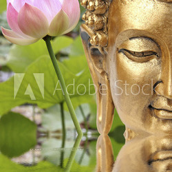Bouddha et fleur sacrée de lotus rose