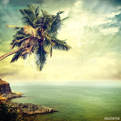 background-60