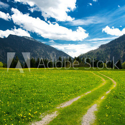 Alm in den bayerischen Alpen