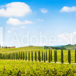 Beautiful landscape with vineyard, Chianti, Tuscany, Italy