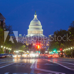 The United States Capitol building in Washington DC