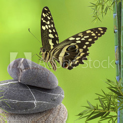 concept décor relaxant
