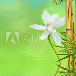 décor relaxant asiatique
