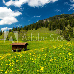 Alm in den bayerischen Alpen