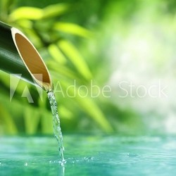 Traditional Bamboo Fountain