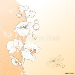 Orchid flower card