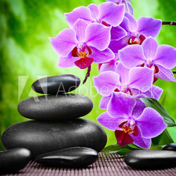 spa concept