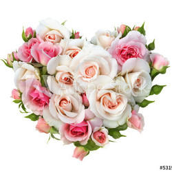 Roses flowers  heart shape isolated.