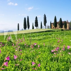 Toskana Haus mit Blumen - Tuscany house and flowers 02