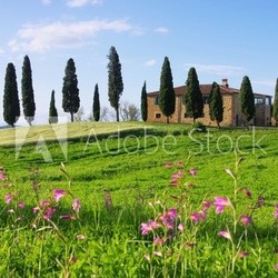 Toskana Haus mit Blumen - Tuscany house and flowers 03