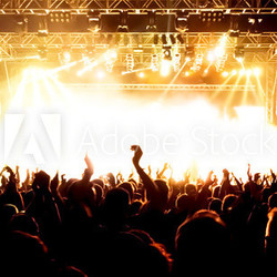 Jubelnde Konzertbesucher auf Rock-Konzert