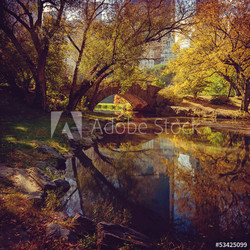 Central Park pond. New York, USA.