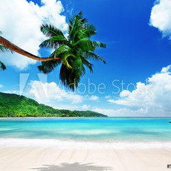 beach on Mahe island in Seychelles