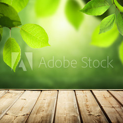 summer background with wooden surface